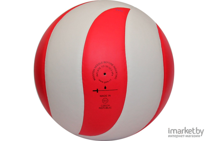 Волейбольный мяч Gala Bora 10 [BV5671S]