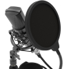 Микрофон Ritmix RDM-175 Black