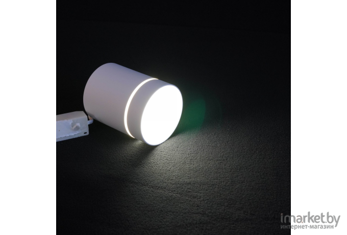 Накладной светильник Elektrostandard Накладной точечный светильник DLR021 9W 4200K белый матовый