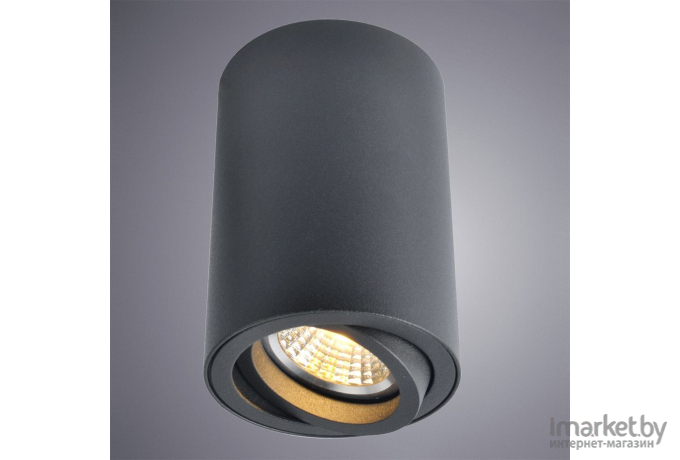 Накладной светильник ARTE Lamp A1560PL-1BK