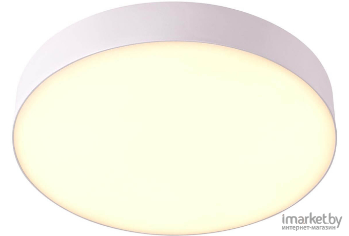 Потолочный светильник Novotech 358109 NT19 000 белый Накладной светильник IP20 LED 4000K 20W 85-265V ORNATE