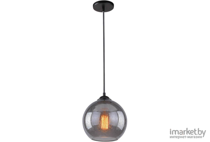 Потолочный подвесной светильник Arte Lamp A4285SP-1SM