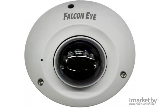 IP-камера Falcon Eye FE-IPC-D2-30p