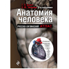 Книга Эксмо Анатомия человека (Билич Г., Зигалова Е.)