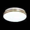 Накладной светильник Sonex Smalli  SN 035 LED 30Вт [3015/CL]