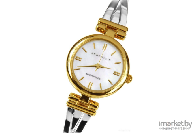 Наручные часы Anne Klein AK/1171MPTT