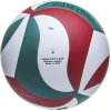 Волейбольный мяч Atemi Champion-GWR (зел./бел/кр)