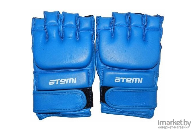 Перчатки для единоборств Atemi 05-001  р-р M Blue