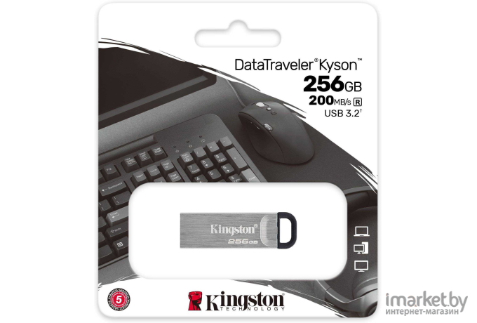 Usb flash Kingston 256Gb DataTraveler (DTKN/256GB)