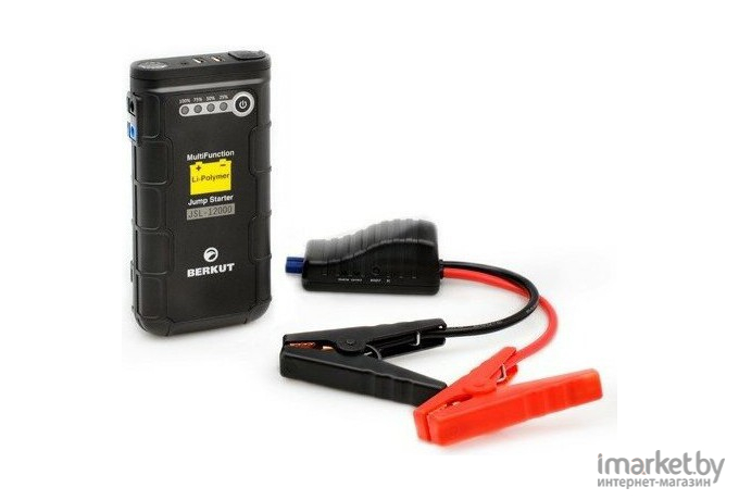 Зарядное устройство для аккумуляторов Berkut JSL-12000
