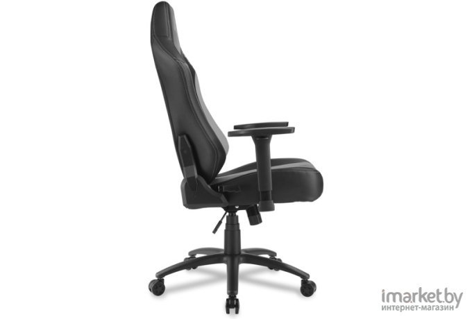 Офисное кресло Sharkoon Skiller SGS20 черный/серый [SGS20-BK/GY]