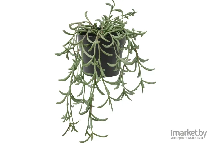 Искусственное растение Ikea Фейка 005.084.09