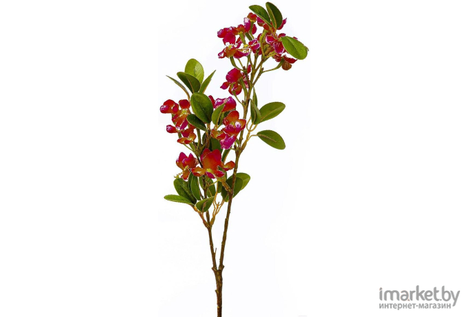 Искусственное растение monAmi CQ-22  73см Бордовый бордовый [CQ-22  бордовый]