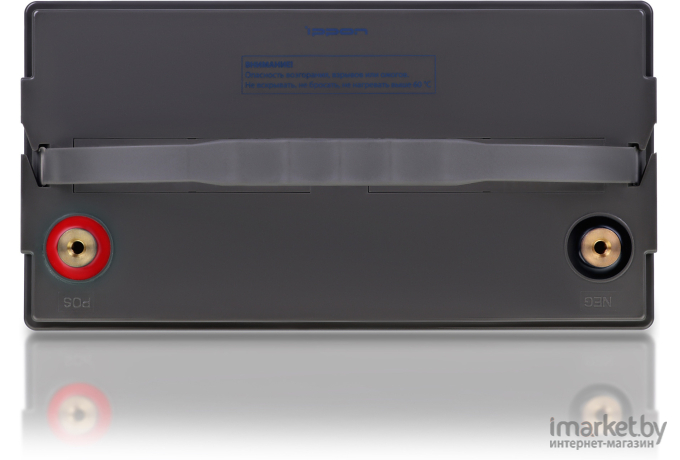 Аккумулятор для ИБП IPPON IP12-100 (12В/100 А·ч)