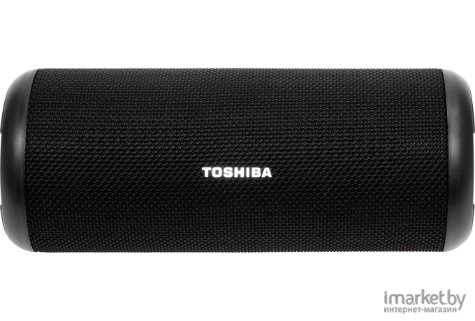 Портативная акустика Toshiba TY-WSP102