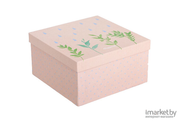 Подарочная коробка MonAmi Эко №2 20х20х11 (4319275)