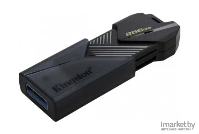 USB Flash-накопитель Kingston DataTraveler Exodia Onyx 256GB (DTXON/256GB)