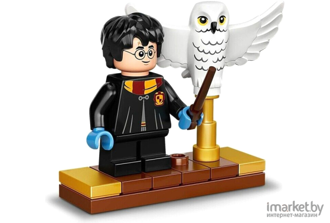 Конструктор LEGO Harry Potter Букля (75979)