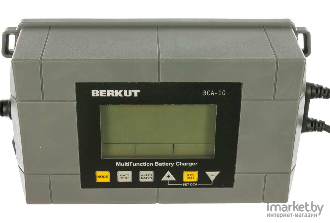 Зарядное устройство Berkut BCA-10