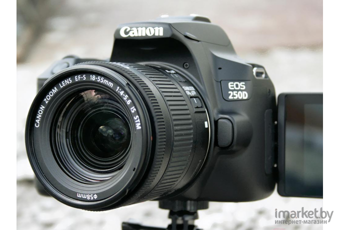 Фотоаппарат Canon EOS 250D Kit EF-S 18-55 DC III Black (3454C003)