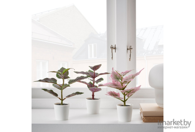 Набор искусственных растений IKEA Фейка цветная крапива (505.229.88)